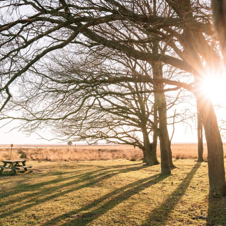 pexels-photo-4200741